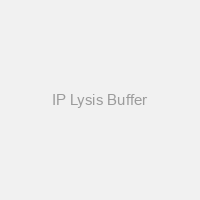 IP Lysis Buffer